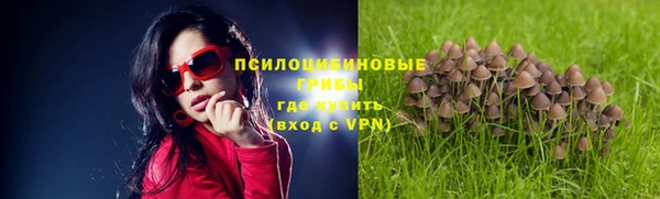 прущая мука Ладушкин