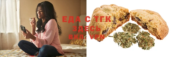 индика Богородицк