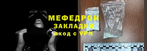 индика Богородицк