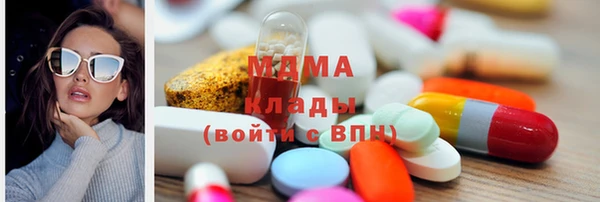 индика Богородицк