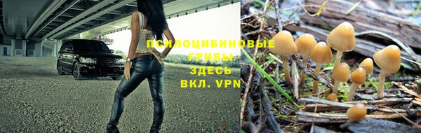 прущая мука Ладушкин