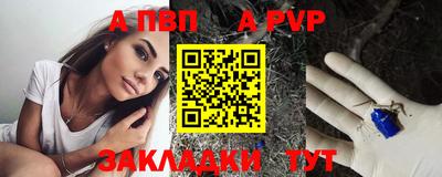 Альфа ПВП Малгобек