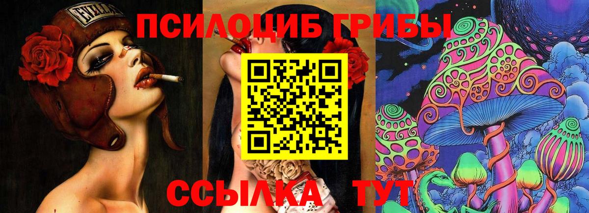 Усть-Илимск  Галлюциногенные грибы Magic Shrooms  Вход с VPN 