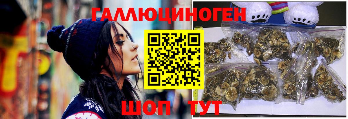 Псилоцибиновые грибы MAGIC MUSHROOMS Усть-Илимск