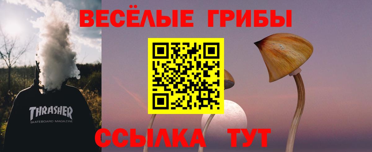 Псилоцибиновые грибы прущие грибы  где купить наркотик  Псилоцибиновые грибы мухоморы  Усть-Илимск 